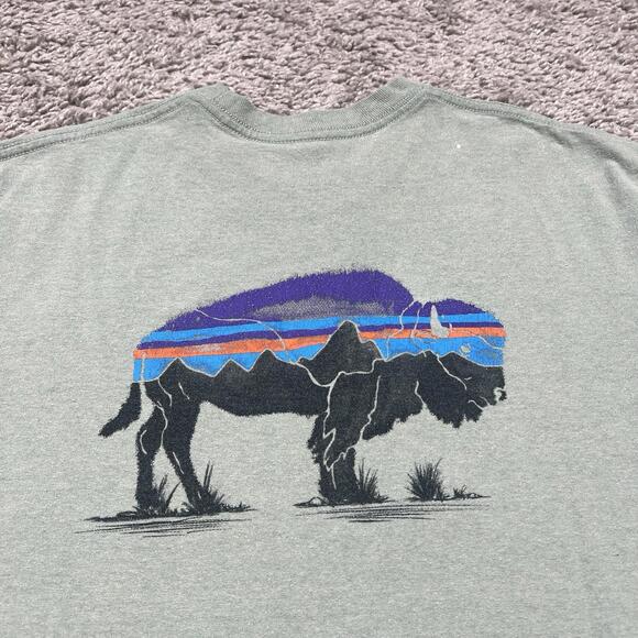 PATAGONIA Shirt Mens Small Green Graphic Bison Responsibili-Tee Hiking Outdoors - Picture 2 of 10